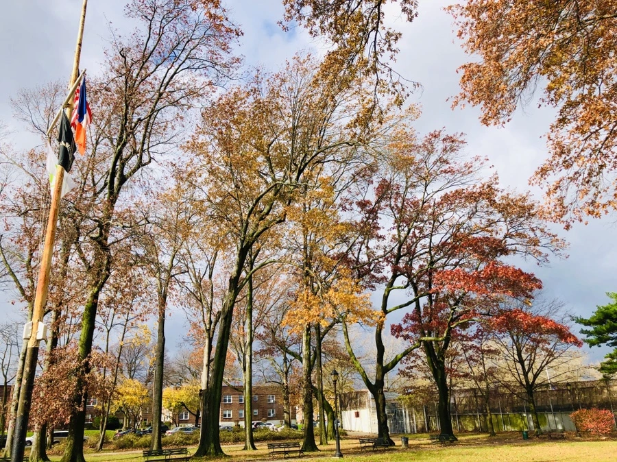 IMG_5504.jpg?type=w966