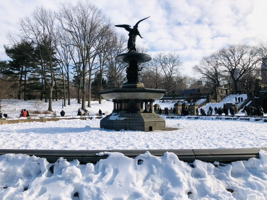 IMG_0654.jpg?type=w966