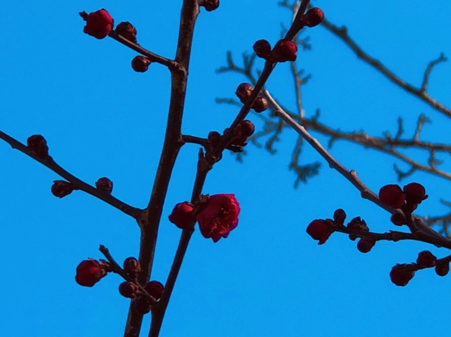 IMG_5311.jpg?type=w966