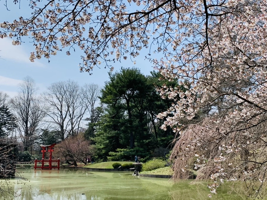 IMG_7310.jpg?type=w966