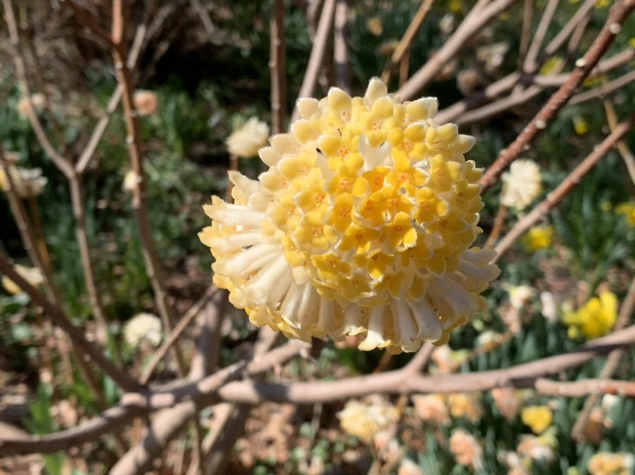 IMG_5795.jpg?type=w966