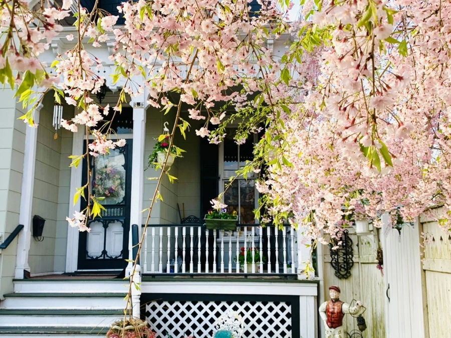 IMG_3749.jpg?type=w966