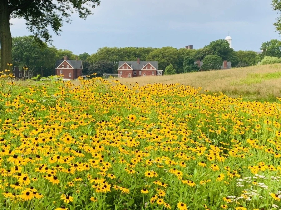 fX7XAqxHqgyycuKlVGMPtm5L44s