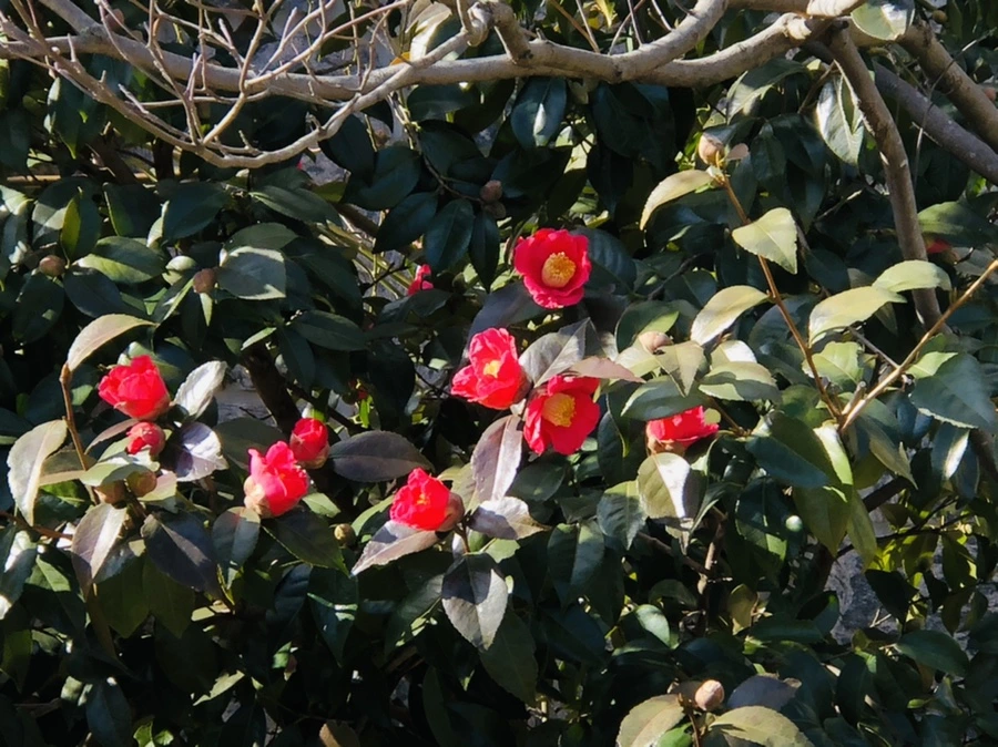 IMG_5198.jpg?type=w966