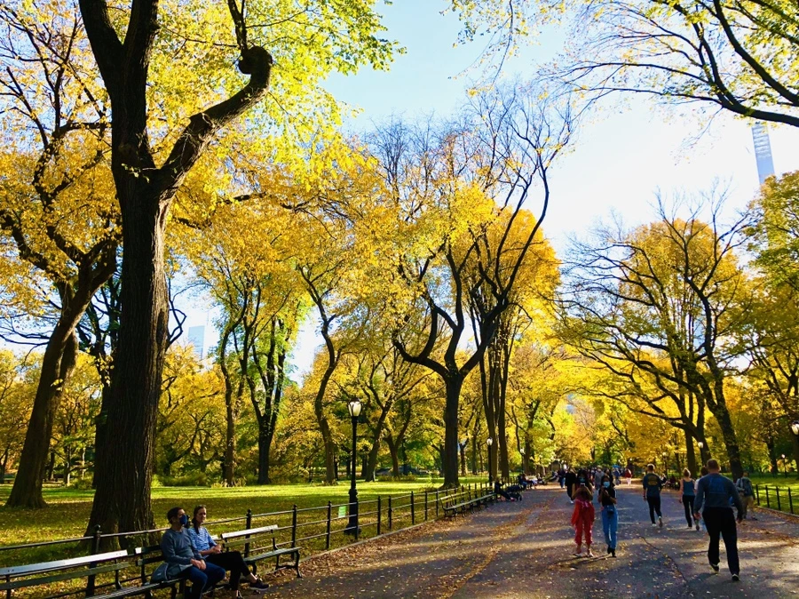 IMG_3491.jpg?type=w966