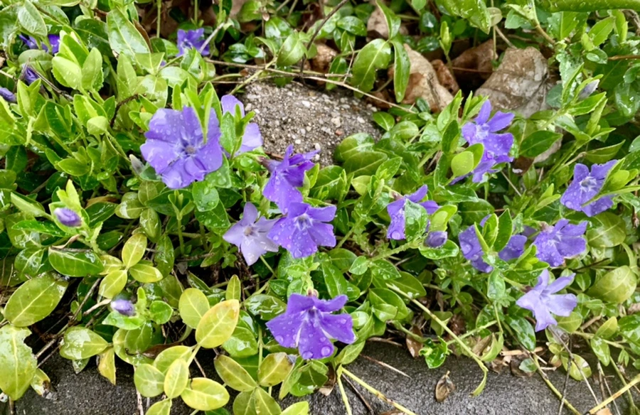 IMG_5006.jpg?type=w966