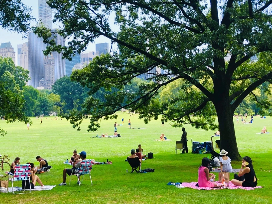 IMG_8059.jpg?type=w966