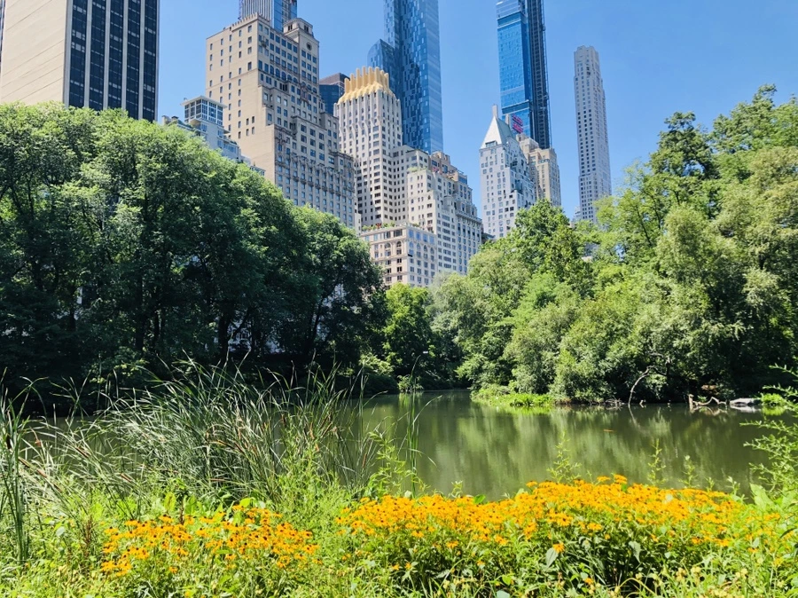 IMG_5705.jpg?type=w966