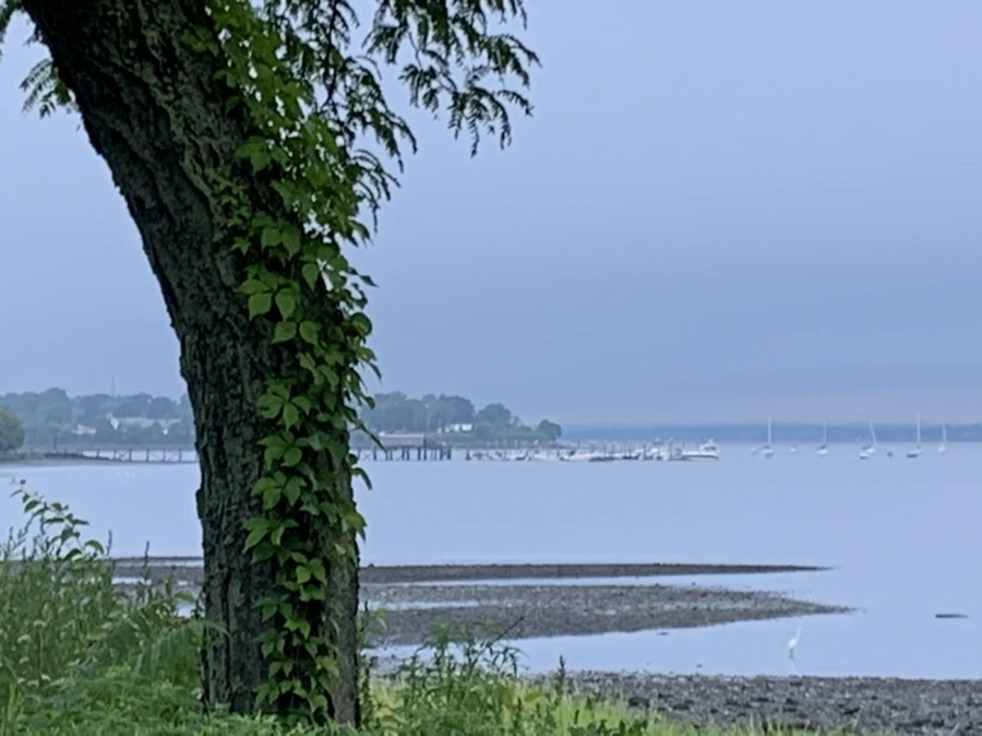 IMG_9788.jpg?type=w966