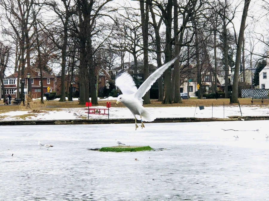 IMG_5833.jpg?type=w966