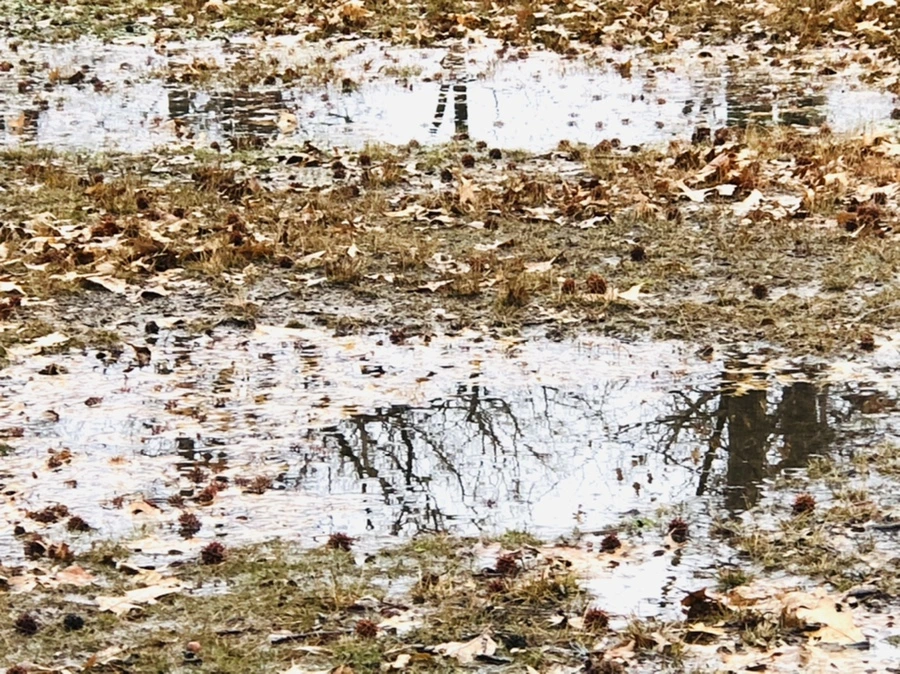 IMG_3394.jpg?type=w966