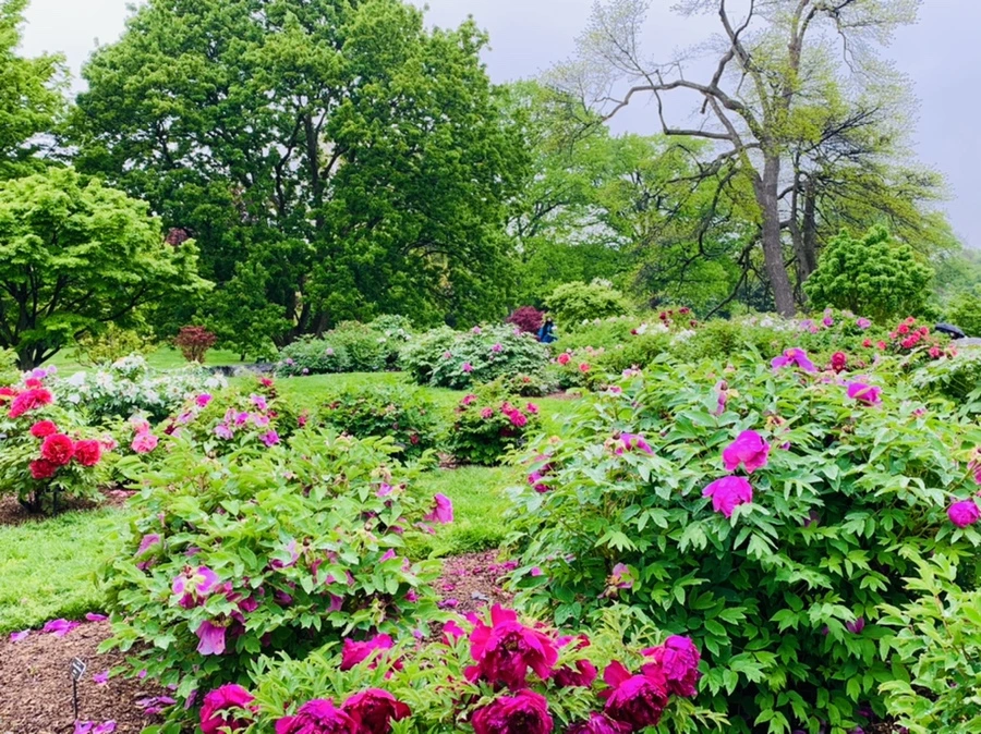 IMG_9983.jpg?type=w966