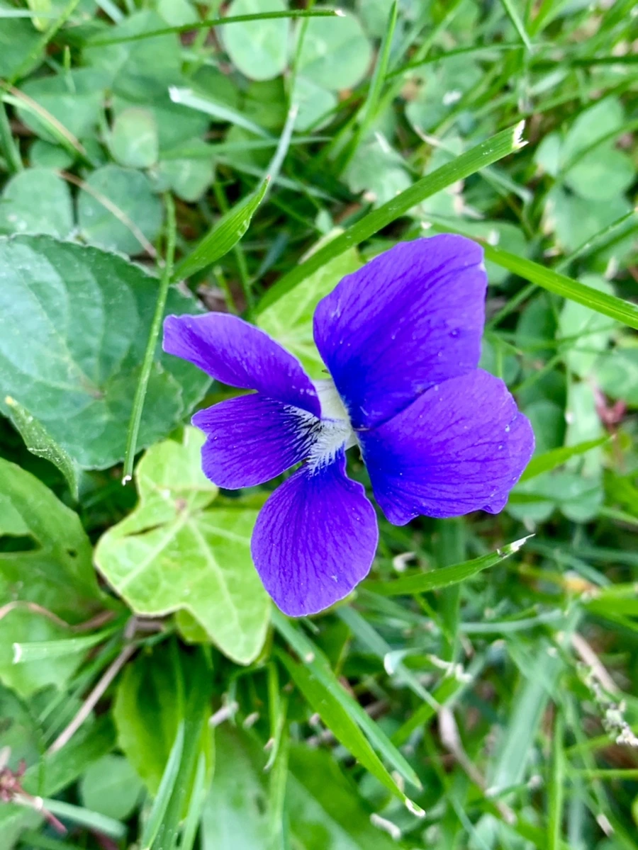 IMG_7482.jpg?type=w966