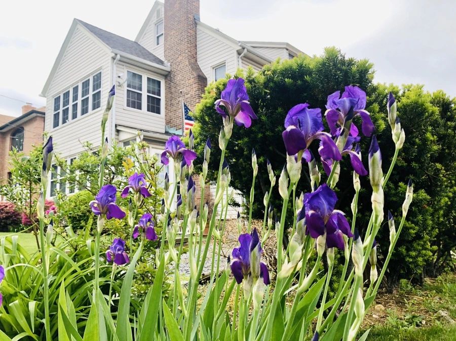 IMG_7416.jpg?type=w966