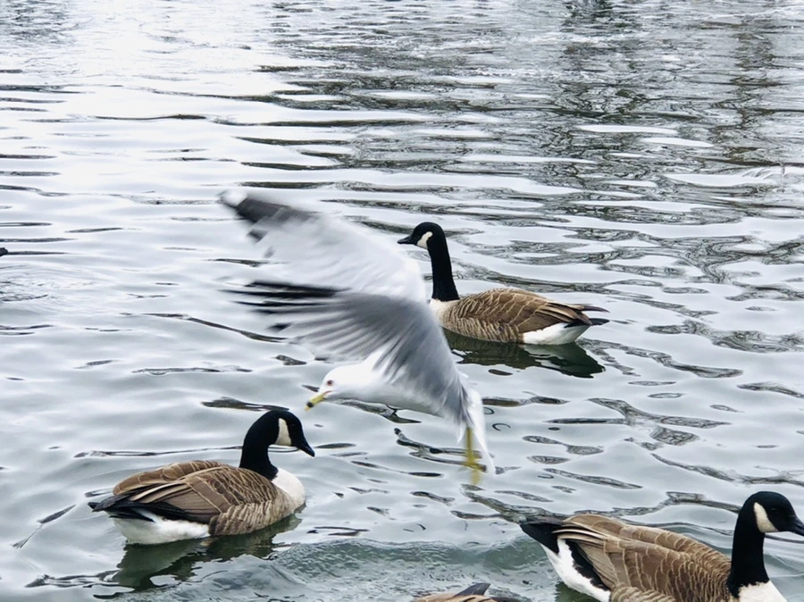 IMG_5859.jpg?type=w966