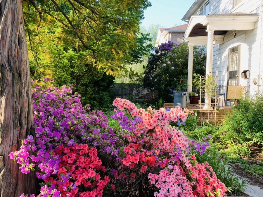 IMG_4085.jpg?type=w966