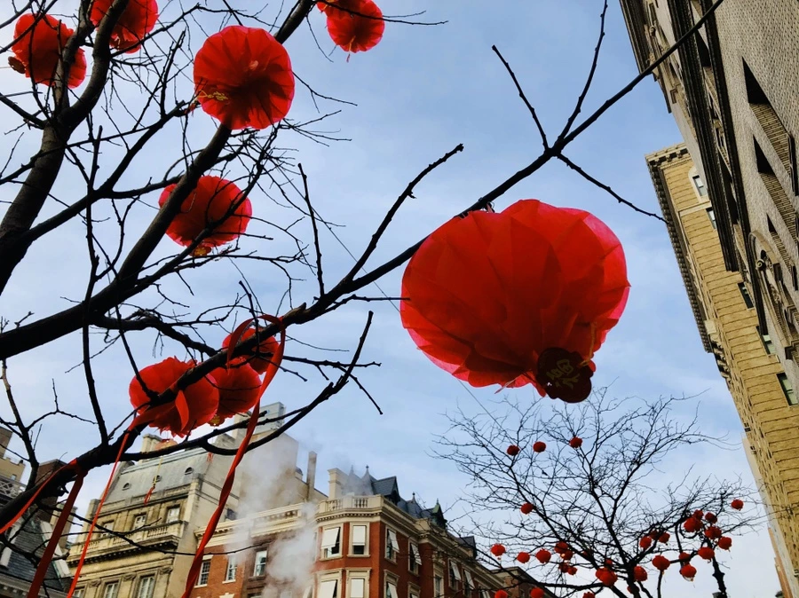 IMG_4179.jpg?type=w966