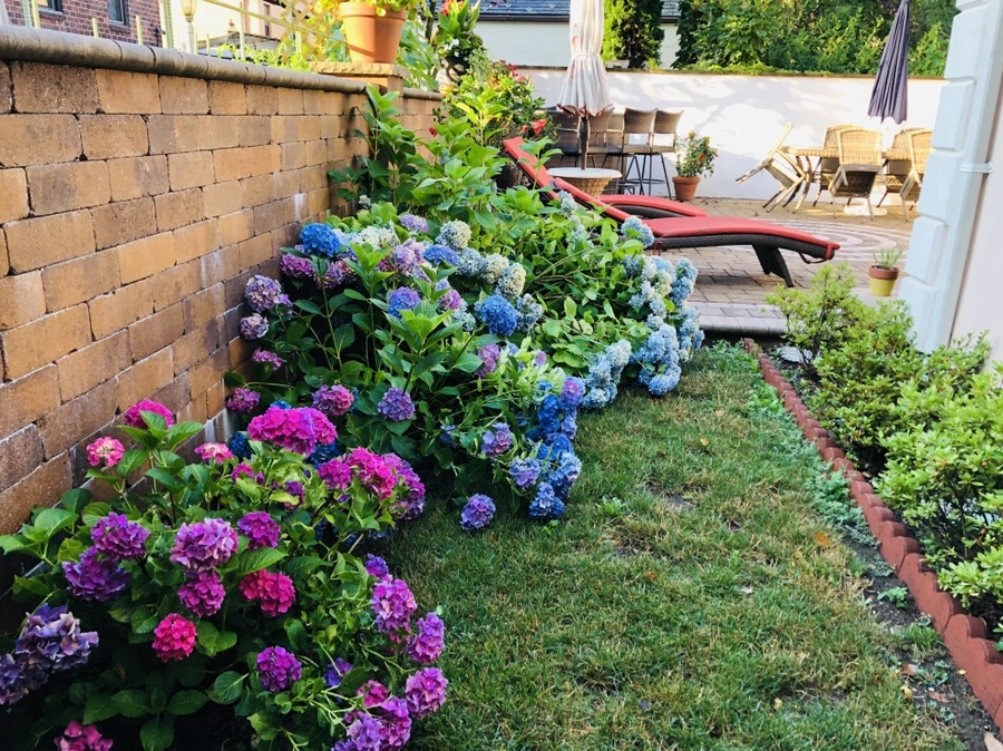 IMG_2110.jpg?type=w966