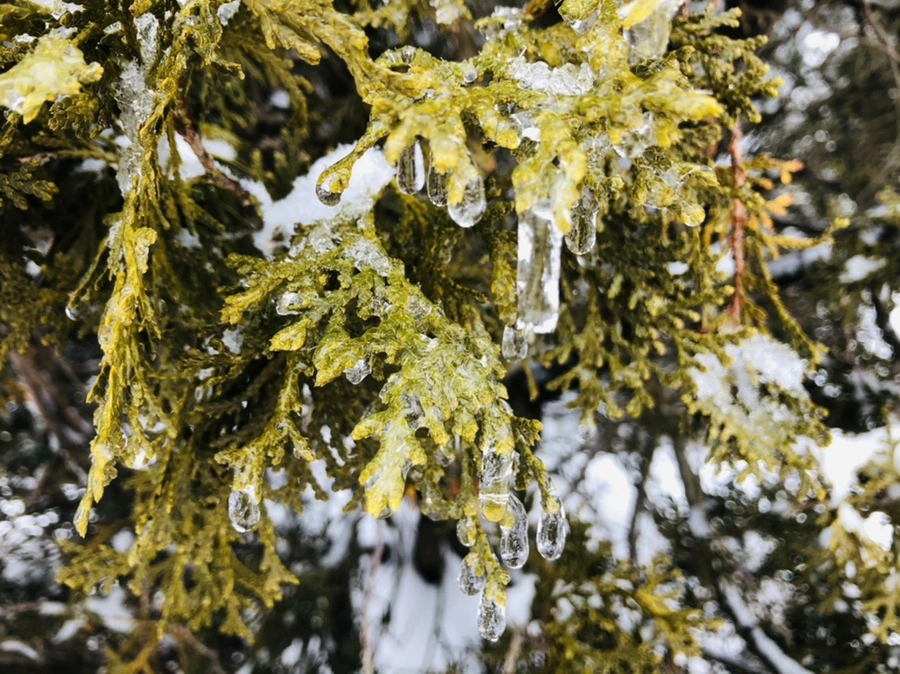 IMG_3614.jpg?type=w966