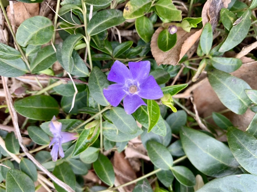 IMG_3464.jpg?type=w966