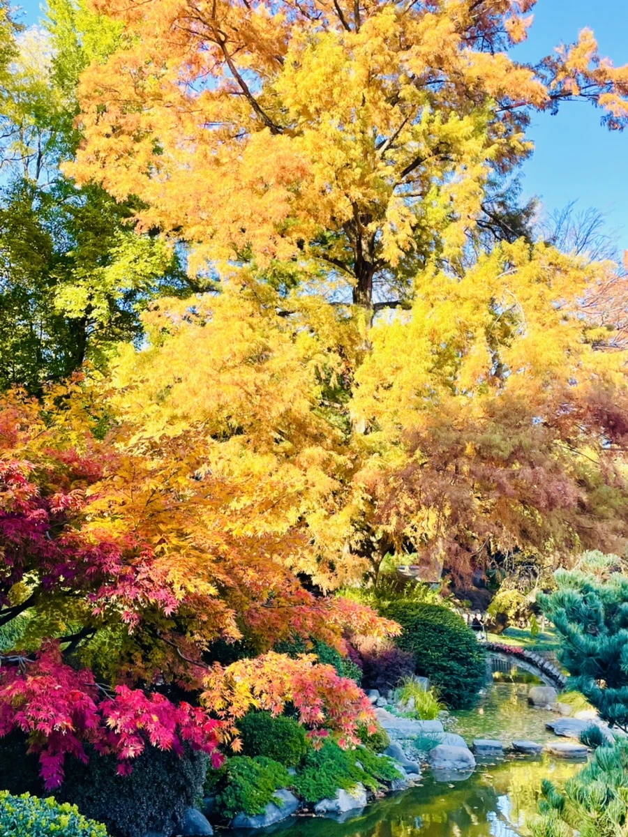 IMG_2127.jpg?type=w966