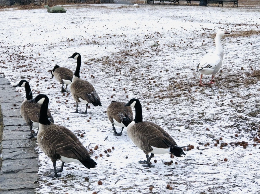 IMG_5923.jpg?type=w966