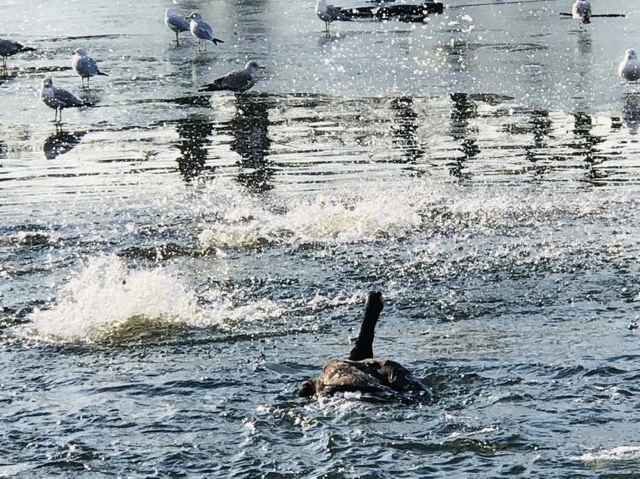 IMG_2797.jpg?type=w966