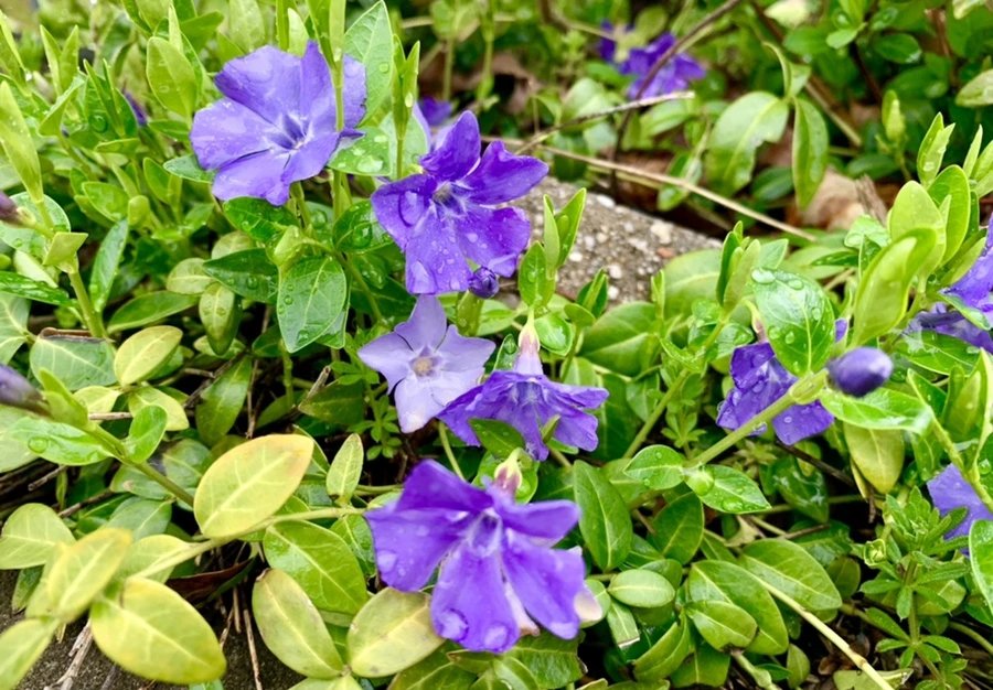 IMG_5348.jpg?type=w966