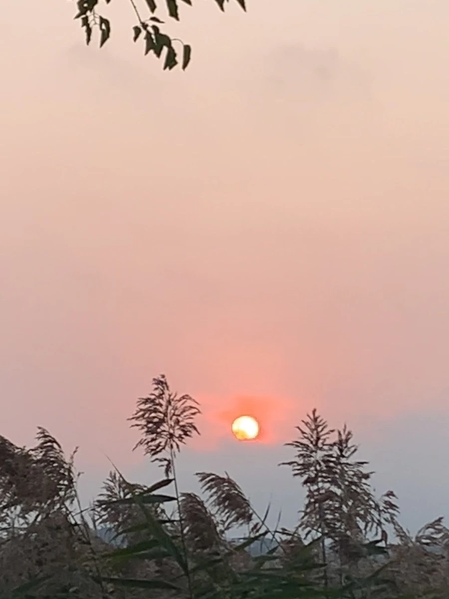 IMG_1112.jpg?type=w966