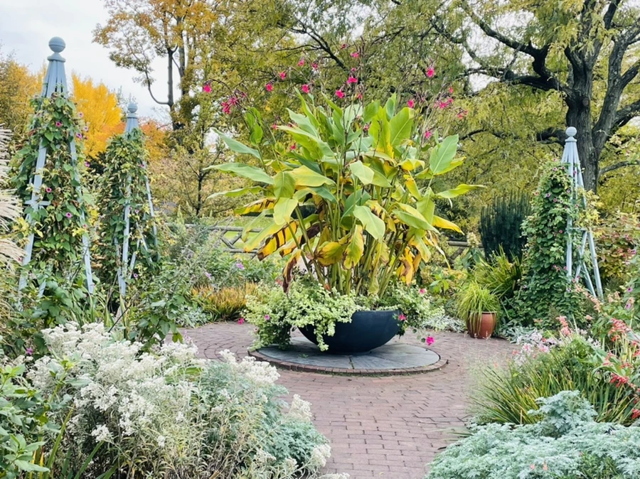 IMG_2411.jpg?type=w966