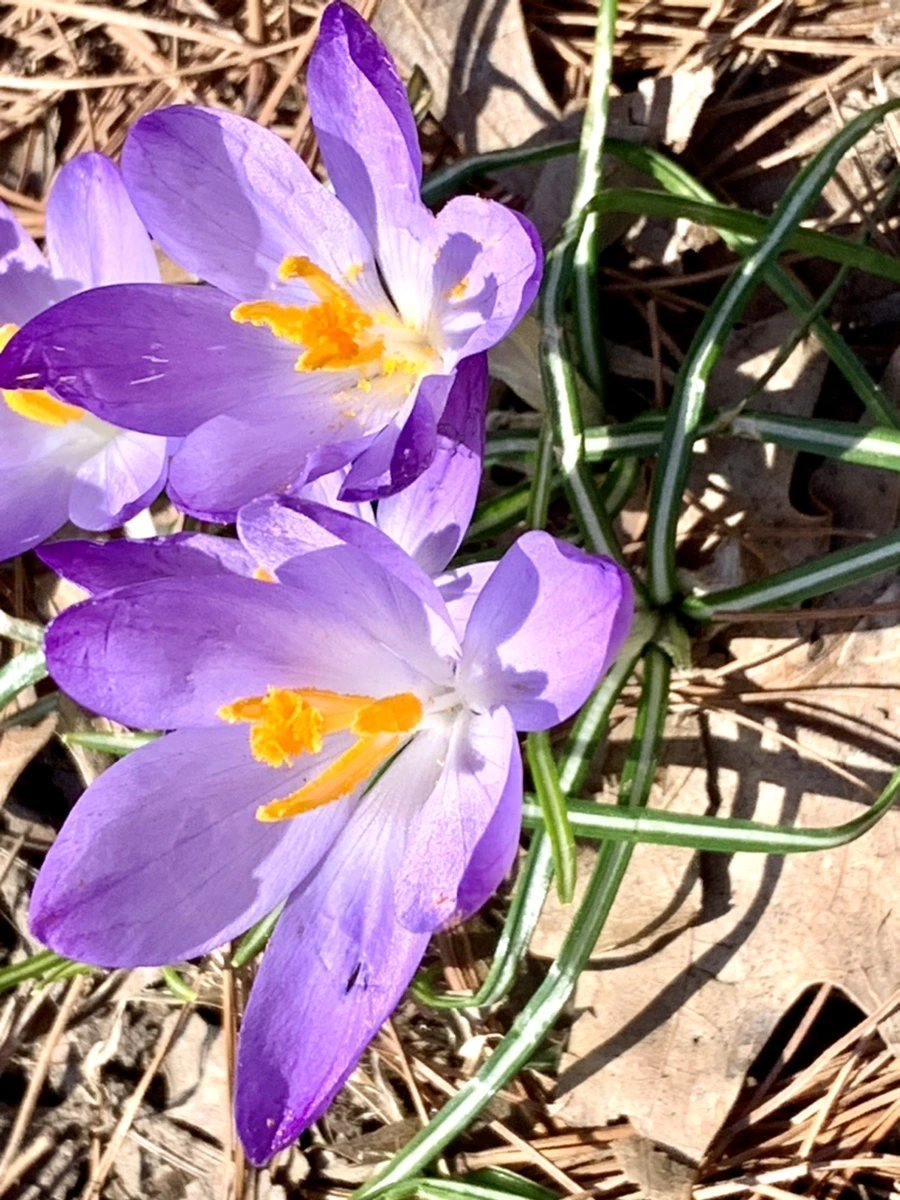 IMG_9761.jpg?type=w966