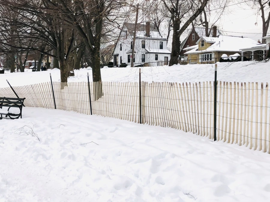 IMG_2375.jpg?type=w966