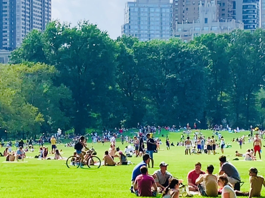 IMG_0675.jpg?type=w966