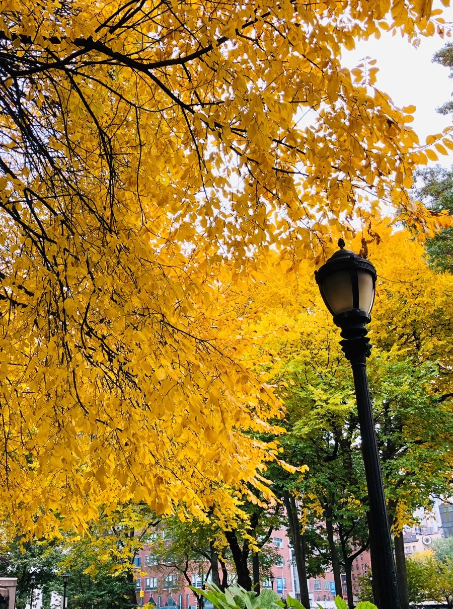 IMG_7240.jpg?type=w966