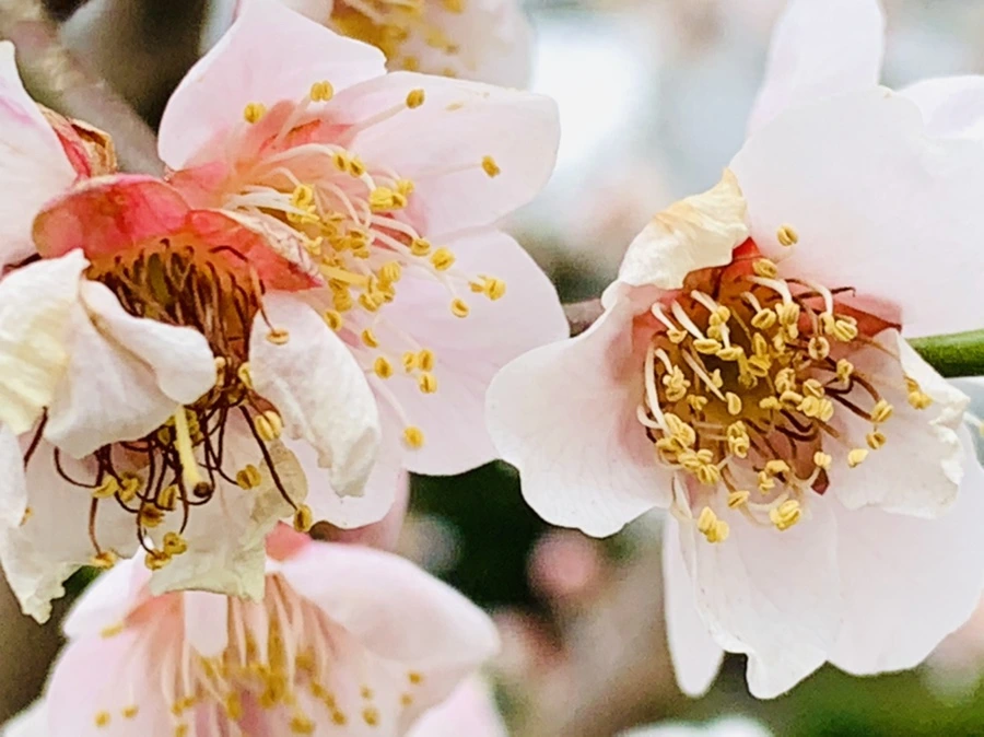 IMG_3554.jpg?type=w966