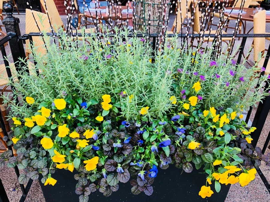 IMG_6869.jpg?type=w966