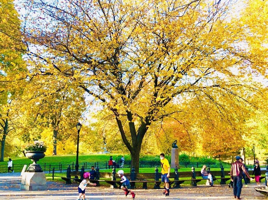 IMG_3504.jpg?type=w966