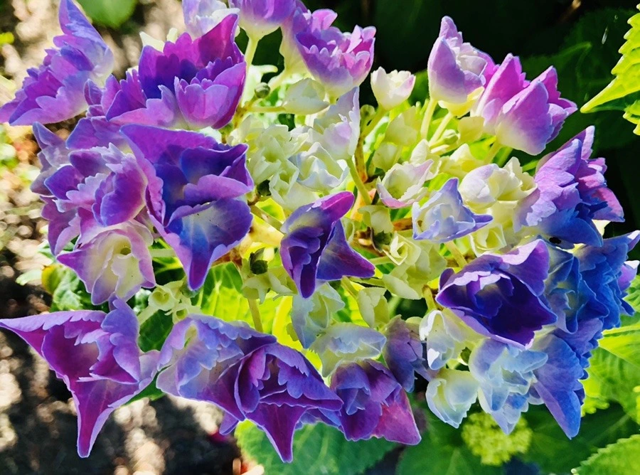 QK-XvZ1eODbs3i8fdWcJS7jY0s8