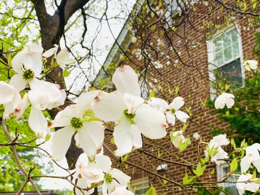 IMG_5322.jpg?type=w966