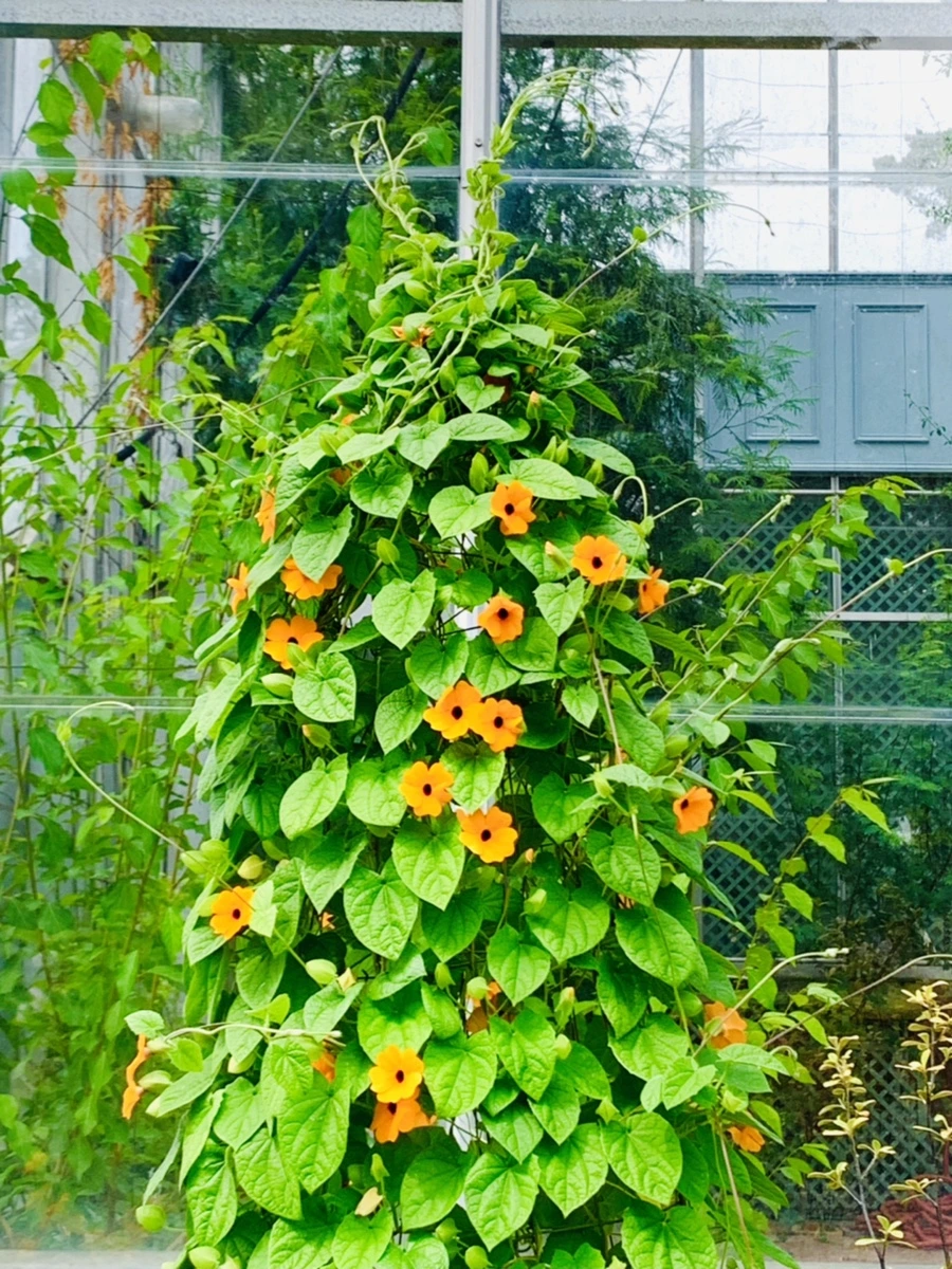 IMG_9450.jpg?type=w966