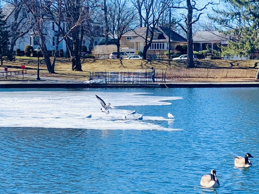 IMG_6762.jpg?type=w966