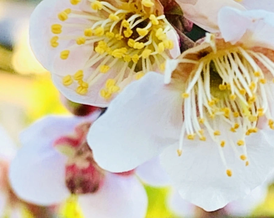 IMG_0793.jpg?type=w966