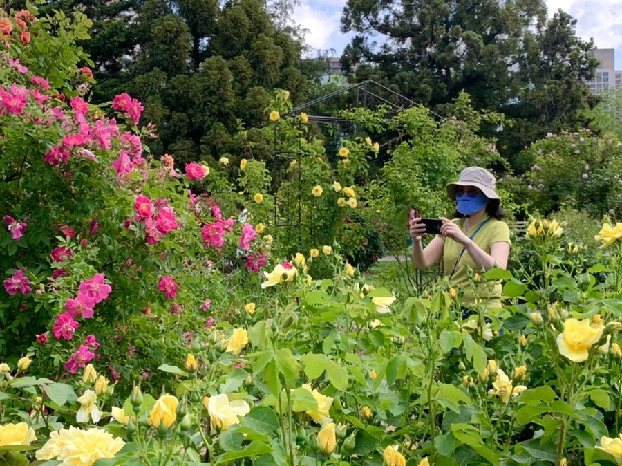 IMG_5816.jpg?type=w966