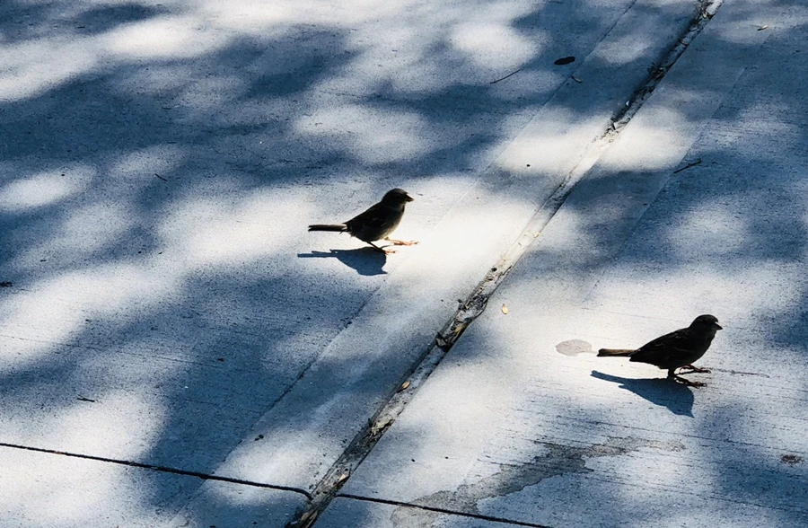 IMG_3475.jpg?type=w966