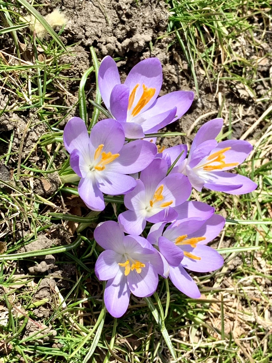 IMG_9183.jpg?type=w966