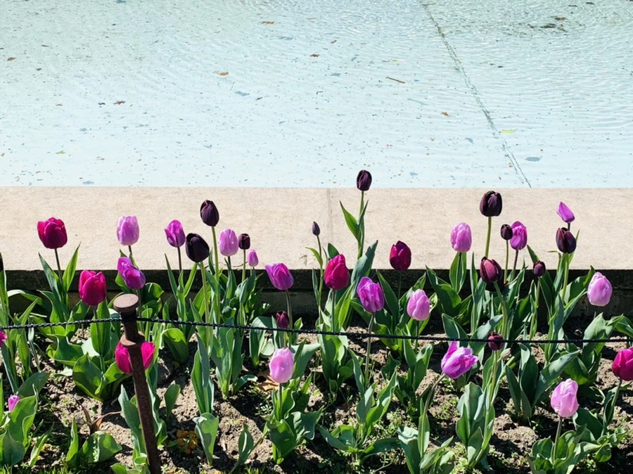 IMG_4615.jpg?type=w966