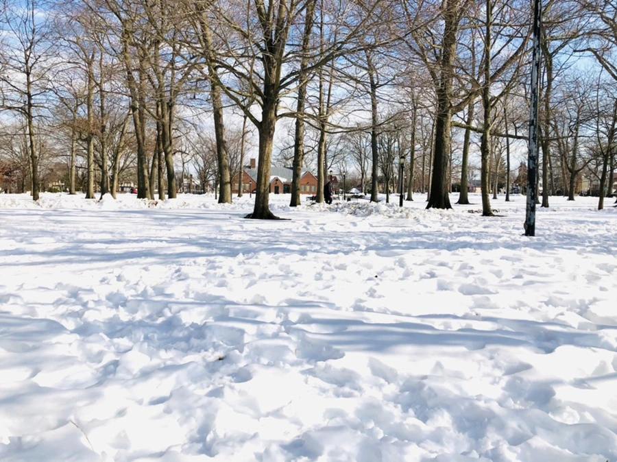 IMG_0100.jpg?type=w966