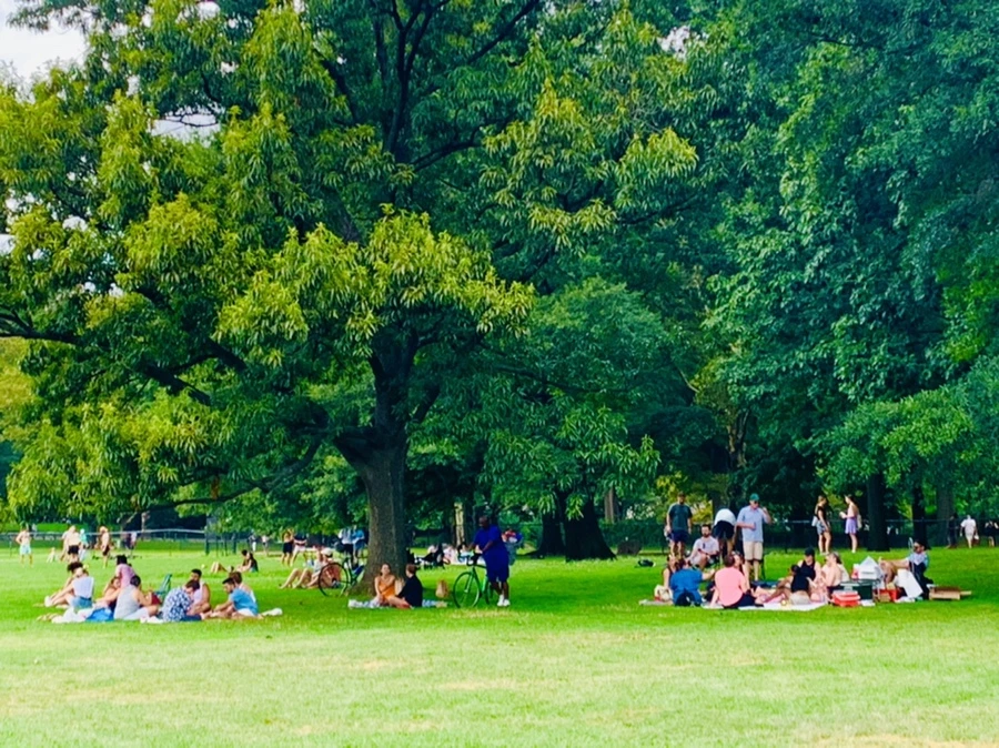 IMG_1573.jpg?type=w966