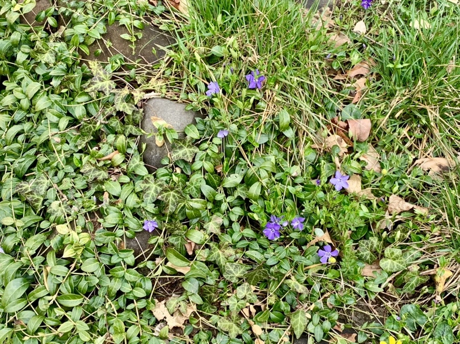 IMG_3891.jpg?type=w966