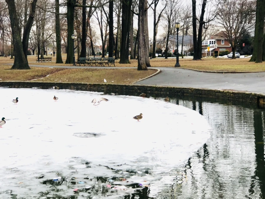 IMG_6236.jpg?type=w966